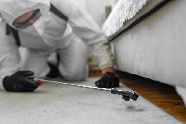 Professional Mosquito Control technician working in Sequim, WA