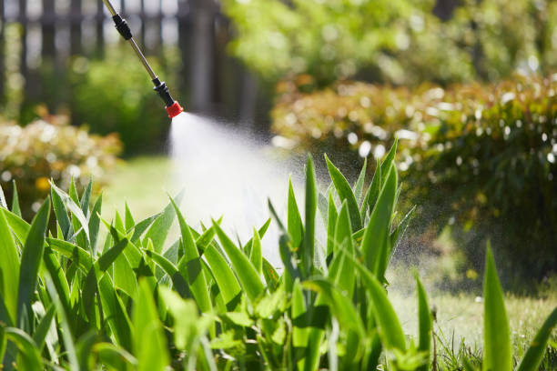 24/7 Emergency Mosquito Control experts in Sequim, WA