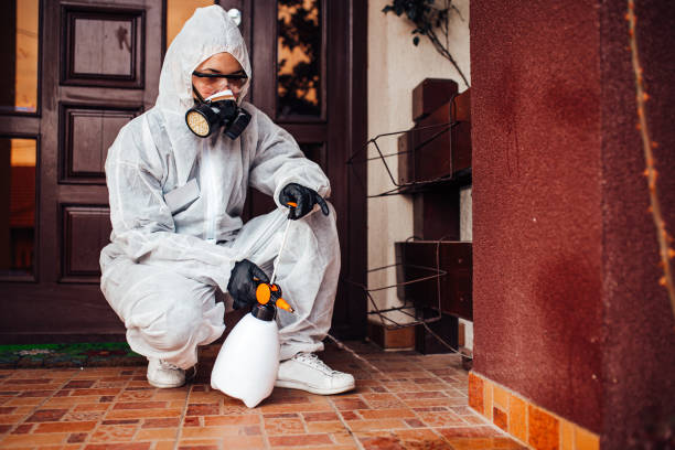 Reliable Mosquito Control contractor in Sequim, WA by Nex Pest Control