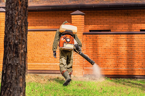 Top rated local Mosquito Control specialists in Sequim, WA
